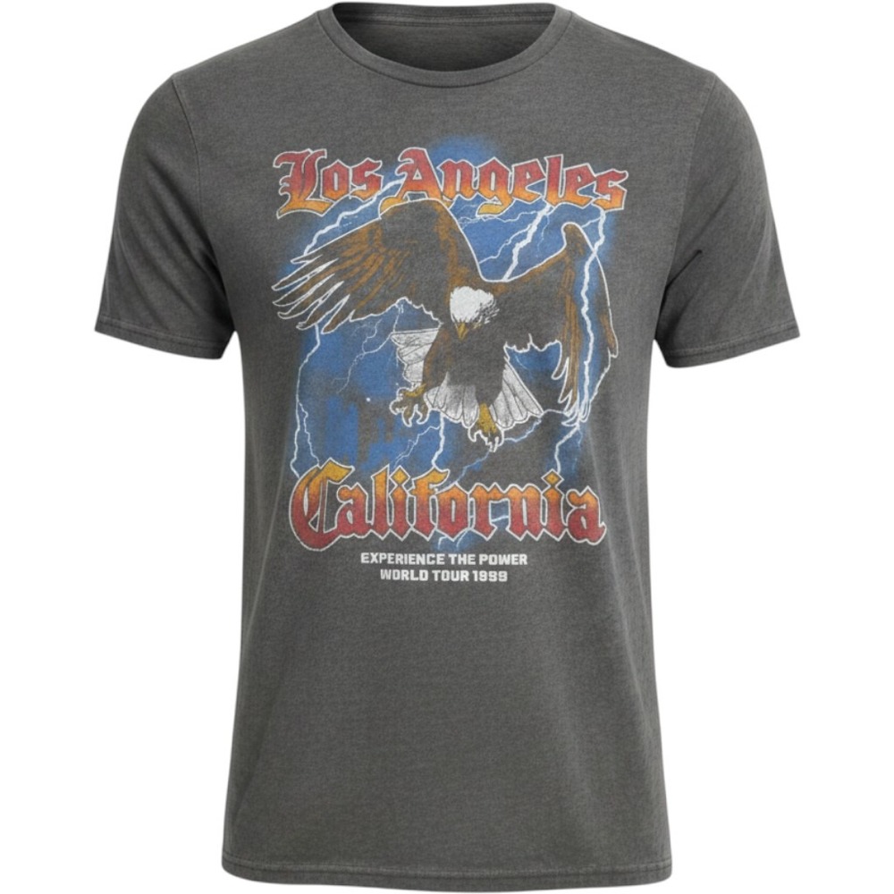 Hollister Womens XS Acid Wash Gray World Tour 1999 Los Angeles Eagle Graphic Tee
